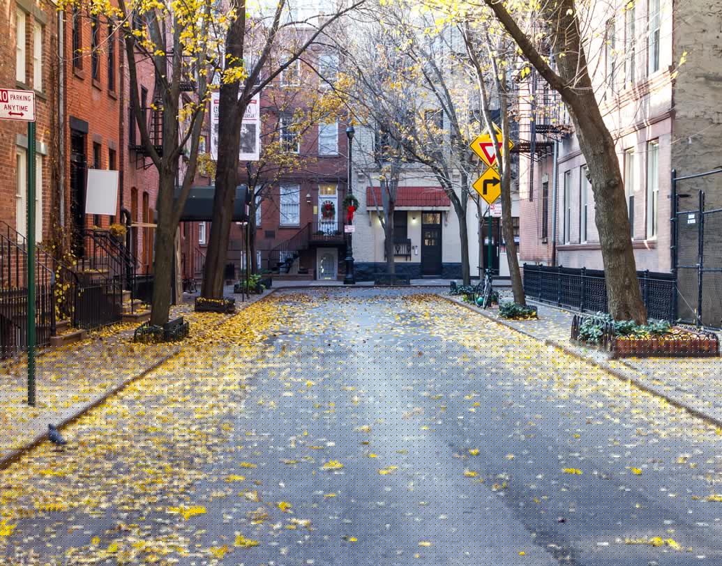 গ্রিনউইচ ভিলেজ, নিউ ইয়র্ক: ম্যানহাটনের পশ্চিম দিকে ছবির মতো সুন্দর জায়গা গ্রিনউইচ ভিলেজ। ‘১৩ গোয়িং অন ৩০’, ‘জুলি অ্যান্ড জুলিয়া’ ছবির শুটিং হয়েছে এখানে।