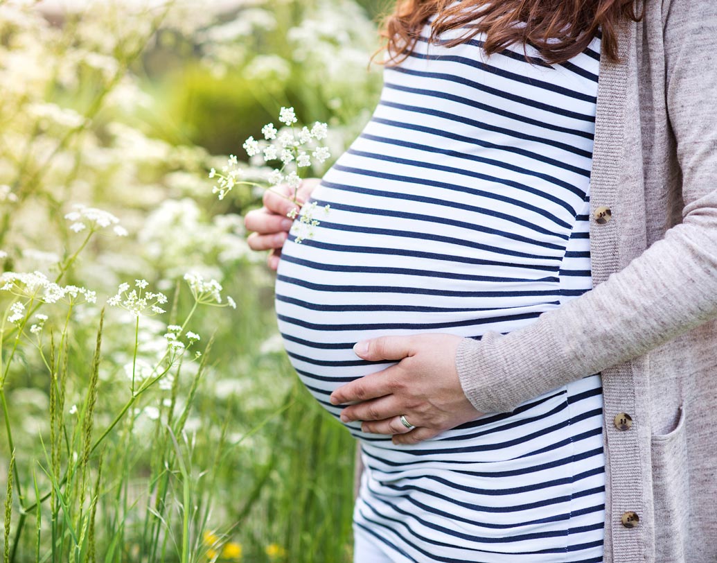 গর্ভবতী মহিলাদের জন্য উপকারী: পনিরে থাকে ফোলেট, যা ভ্রুণের বিকাশে সাহায্য করে। ফোলেট এক ধরণের বি-কমপ্লেক্স ভিটামিন যা রক্তে লোহিত কণিকা উৎপাদনেও বিশেষ ভূমিকা নেয়।