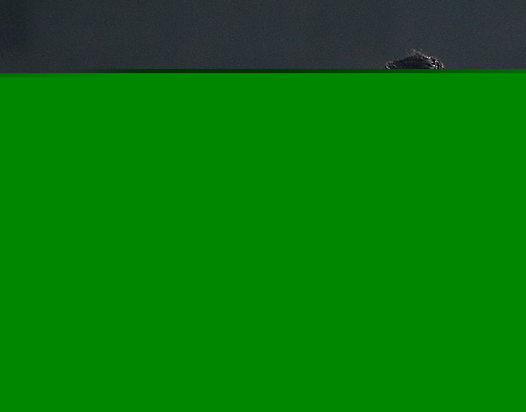 ফ্লপ চাহাল শো: ওয়ান ডে-তে যাঁর ঘূর্ণিতে নাজেহাল হতে হয়েছে প্রোটিয়া ব্যাটসম্যানদের, সেই যুজবেন্দ্র চাহাল সেঞ্চুরিয়ানে ৪ ওভারে ৬৪ রান দিয়েছেন। সিরিজের প্রথম ম্যাচেও দাগ কাটতে ব্যর্থ হন তিনি। ছবি: এএফপি।