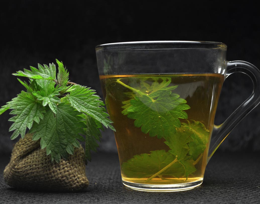 বিছুটি পাতা: বিছুটি পাতায় রয়েছে ভিটামিন বি, আয়রন, ভিটামিন সি। চিকিৎসকেরা জানাচ্ছেন, এক কাপ গরম জলে দু’চামচ বিছুটি পাতার গুঁড়ো ১০ মিনিট ভিজিয়ে রাখুন। মধু মিশিয়ে দিনে দু’বার এই মিশ্রণ খেলে রক্তাল্পতার ঝুঁকি অনেক কমবে।