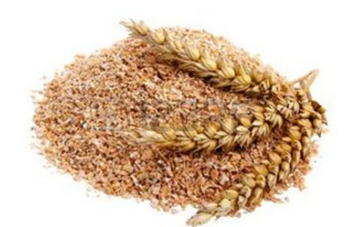 দোল খেলার পর গমের ভুষি সব থেকে বেশি কাজ করে ত্বককে সতেজ করতে। অলিভ অয়েলের সঙ্গে গমের ভুষি মিশিয়ে ঘন ঘন করে সারা শরীরে মেখে ১০ মিনিট পরে ধুয়ে ফেললেই সতেজ ত্বক পাবেন।