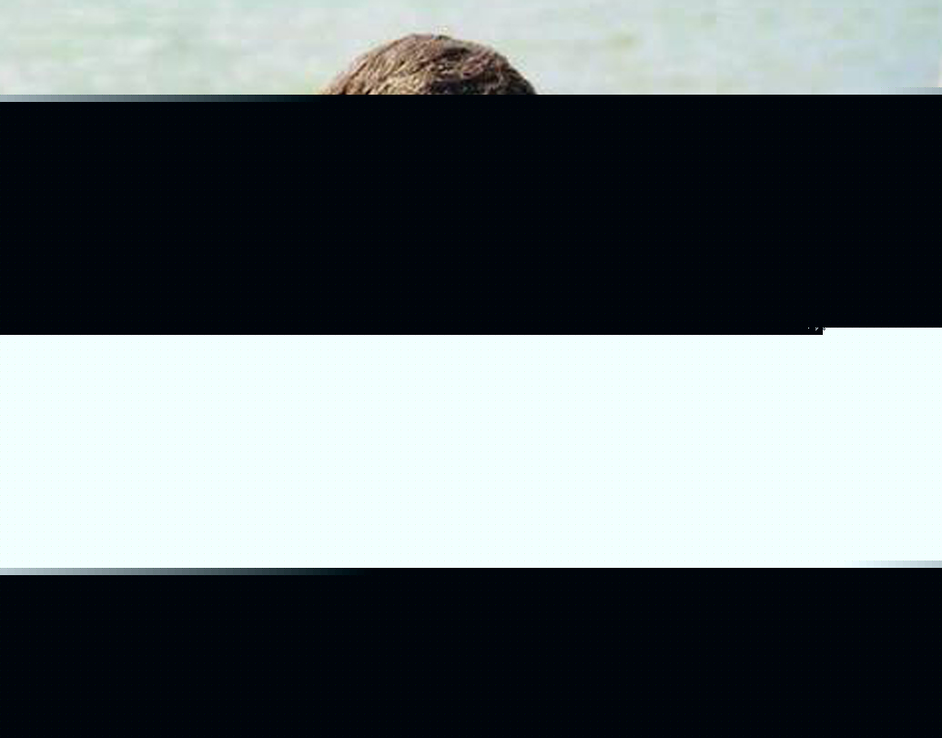 অনুকূল রয়: বাঁহাতি অলরাউন্ডার অনুকূল ১৪ উইকেট নিয়েছেন গোটা টুর্নামেন্টে। মাঝের ওভারগুলিতে তাঁর আঁটোসাটো বোলিং চাপে ফেলেছে সব টিমকেই।