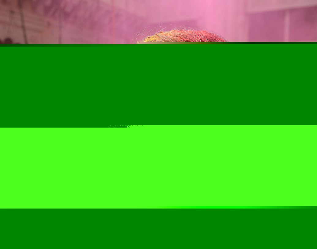 দেশের অন্য প্রান্তের মতো মাত্র এক দিনেই শেষ নয়। বরং সপ্তাহখানেক ধরে বৃন্দাবনে পালিত হয় হোলি বা রাসলীলা। বৃন্দাবনের বিধবা মহিলারাও যোগ দেন রঙিন এই উৎসবে। রাসলীলার পাশাপাশি চলে নানা অনুষ্ঠানও। ছবি: এএফপি।