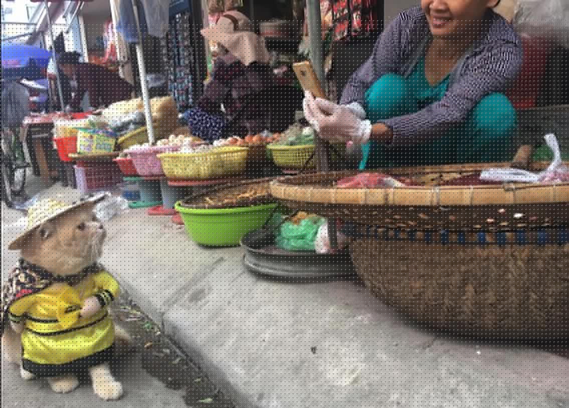 পোশাক এবং হাবেভাবে আগাগোড়া পোক্ত ব্যবসায়ী। ঠিক যেন এক হাত পিছনে রেখে দু’পায়ে সারা মাছ বাজার হেঁটে তদারকি করছে সে। মাঝেমধ্যে মাছ ছাড়াও মাংস এবং সবজি বিক্রি করতেও দেখা যায় তাকে।