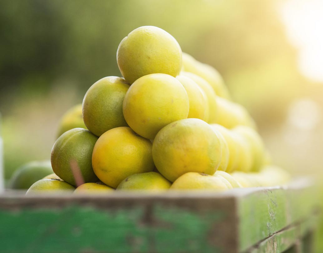 মুসাম্বির রস: পৌষ্টিকনালী থেকে টক্সিন দূর করতে সাহায্য করে মুসাম্বির রস। ফলে কোষ্ঠকাঠিন্য কমাতেও এই রস কাজে দেয়।
