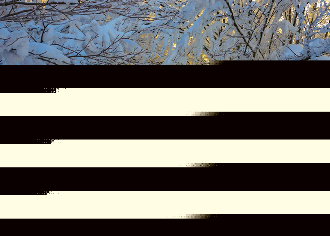 ক্যাম্পিগনা ন্যাশনাল পার্ক, ইতালি: শীতের সকাল আর সূর্যোদয় এই পার্কের শোভা পুরোপুরি বদলে দেয়। শুভ্র বরফে ঢেকে যায় পুরো পার্ক। আর গাছের প্রাচীর চিরে সূর্যের আলো এসে পড়েছে ওই সরু পথটার উপরে। ঠিক যেন কোনও রূপকথা।