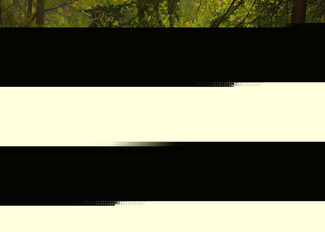 বাভারিয়া, জার্মানি: প্রায় ১০০ কিলোমিটার দীর্ঘ এই অরণ্য। এই জঙ্গলের প্রতিটা বাঁকে নতুন চমক অপেক্ষা করবে আপনার জন্য। আপনাকে স্বাগত জানাবে রাস্তার দু’পাশে বিছিয়ে থাকা শুকনো লাল পাতা আর বিভিন্ন আকৃতির পাথর।