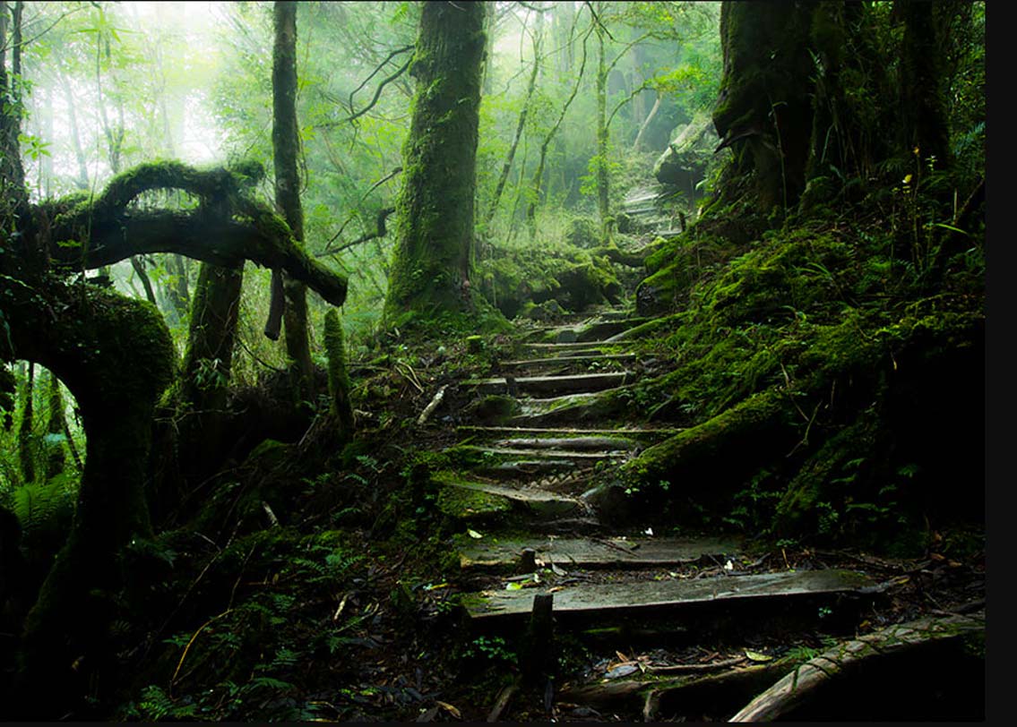 তাইপিং মাউন্টেন পথ, তাইওয়ান: সমুদ্রপৃষ্ঠ থেকে ১,৯৫০ মিটার উচ্চতায় রয়েছে এই মাউন্টেন পথ। বর্ষায় পথ পিছল হয়ে যায়, তাই ওই সময় বাদে সারা বছর ট্রেকিং প্রেমীদের আনাগোনা লেগেই লাগে এখানে।