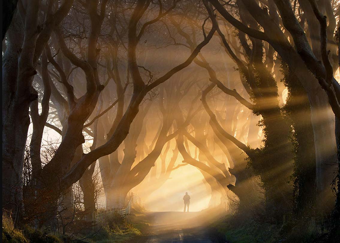 ডার্ক হেজেস, আয়ারল্যান্ড: দুই শহর আর্ময় এবং স্ট্র্যানোকামকে সংযুক্তকারী রাস্তা এটি। রাস্তার দু’পাশ বিচ ট্রি দিয়ে ঘেরা। জনপ্রিয় টেলিভিশন সিরিজ ‘গেম অফ থ্রোনস’-এর একটি দৃশ্যেও এই রাস্তা দেখা গিয়েছে। বিচ ট্রি এমনভাবেই রাস্তার উপরে বিস্তৃত যে রাস্তাটাই যেন একটা প্রাকৃতিক ক্যানাল। অপূর্ব প্রাকৃতিক শোভা। কিন্তু সত্যি বলুন তো, এই রাস্তায় একা হাঁটতে একটু হলেও কি গা ছমছম করবে না?