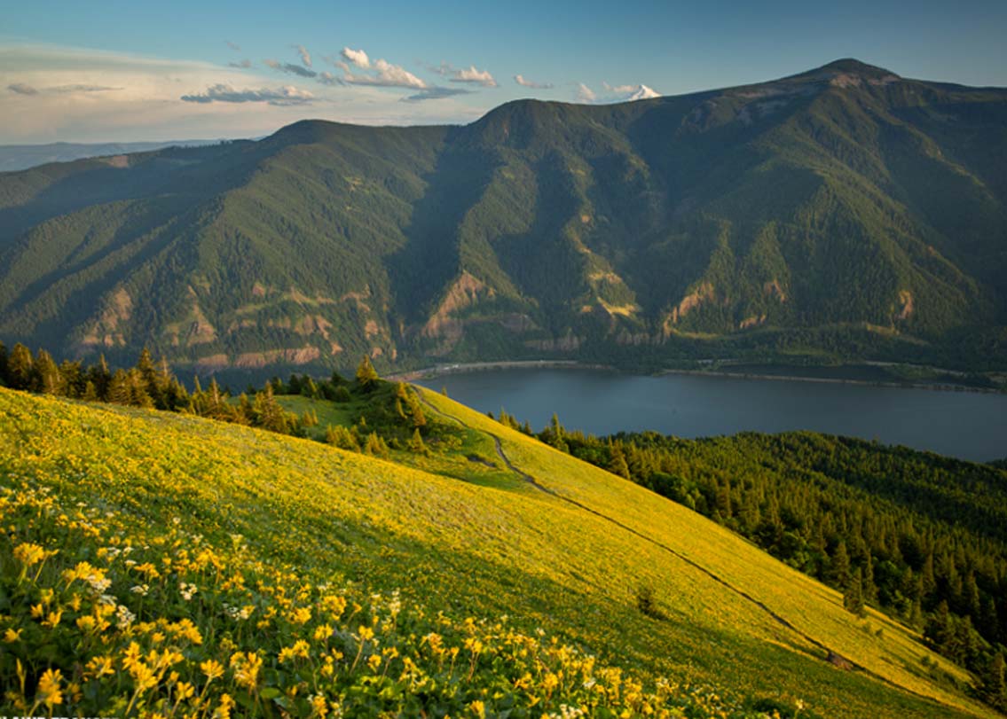 ডগ মাউন্টেন, ওয়াশিংটন: কলম্বিয়া রিভার জর্জের উত্তর ভাগে রয়েছে এই পর্বত। ২০০৩ সালে এই পাহাড়ি পথে ট্রেকিংয়ের সময় একটা দুর্ঘটনা ঘটেছিল। পা পিছলে ৫০০ ফুট নীচে খাদে পড়ে যান এক ব্যক্তি।