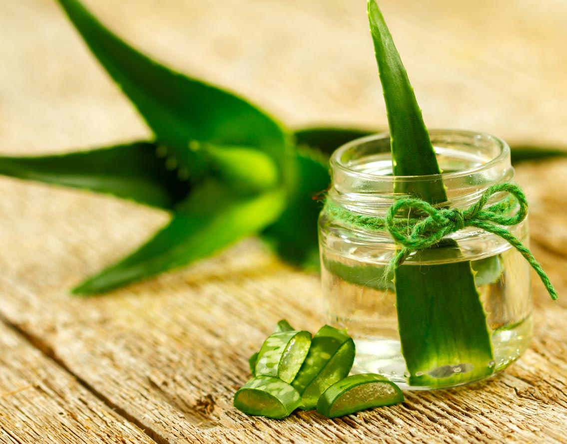 ওজন কমানো ছাড়া এর উপকারিতা কী? হজমে সাহায্য করে অ্যালোভেরা রস। পাকস্থলীর ক্ষত নিরাময় করে। হৃৎপিণ্ডের স্বাস্থ্য বজায় রাখে। ব্লাড সুগার নিয়ন্ত্রণে রাখে।