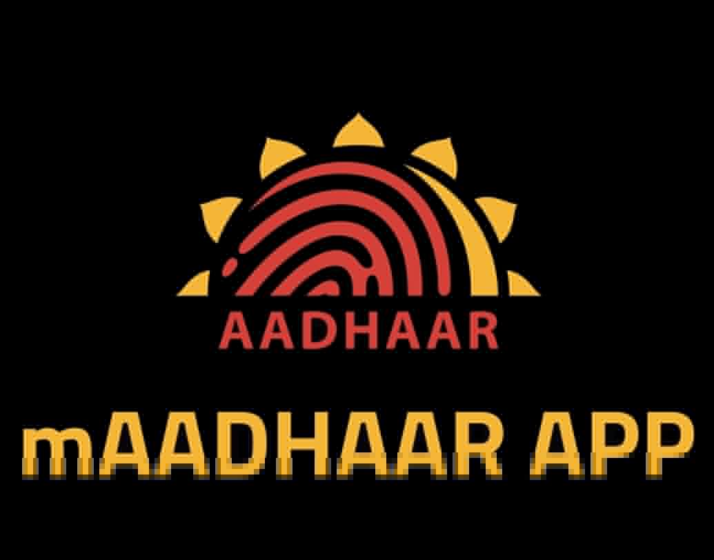 এই অ্যাপটি আপনার ‘ভার্চুয়াল আইডি প্রুফ’ হিসাবে ব্যবহার করা যাবে দেশের যে কোনও জায়গায়। তবে রেজিস্টার্ড মোবাইল নম্বর ছাড়া বা আধারের সঙ্গে আপনার ব্যবহৃত মোবাইল নম্বরটি লিঙ্ক করা না থাকলে কাজ করবে না এই অ্যাপ।