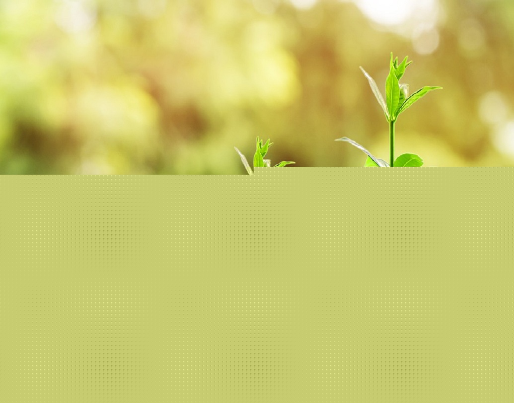 পোস্ট অফিস সেভিংস অ্যাকাউন্ট: এই প্রকল্পে বছরে চার শতাংশ সুদ দেওয়া হয়। ৫০০ টাকা দিয়ে অ্যাকাউন্ট খুললে চেকের পরিষেবাও দেওয়া হয়। যে-কোনও সময়ে চাইলেই এই অ্যাকাউন্ট থেকে টাকা তোলা যায়। পাওয়া যায় এটিএম বা ডেবিট কার্ডের সুবিধাও। ১০ হাজার টাকা পর্যন্ত এর সুদ আয়কর মুক্ত।