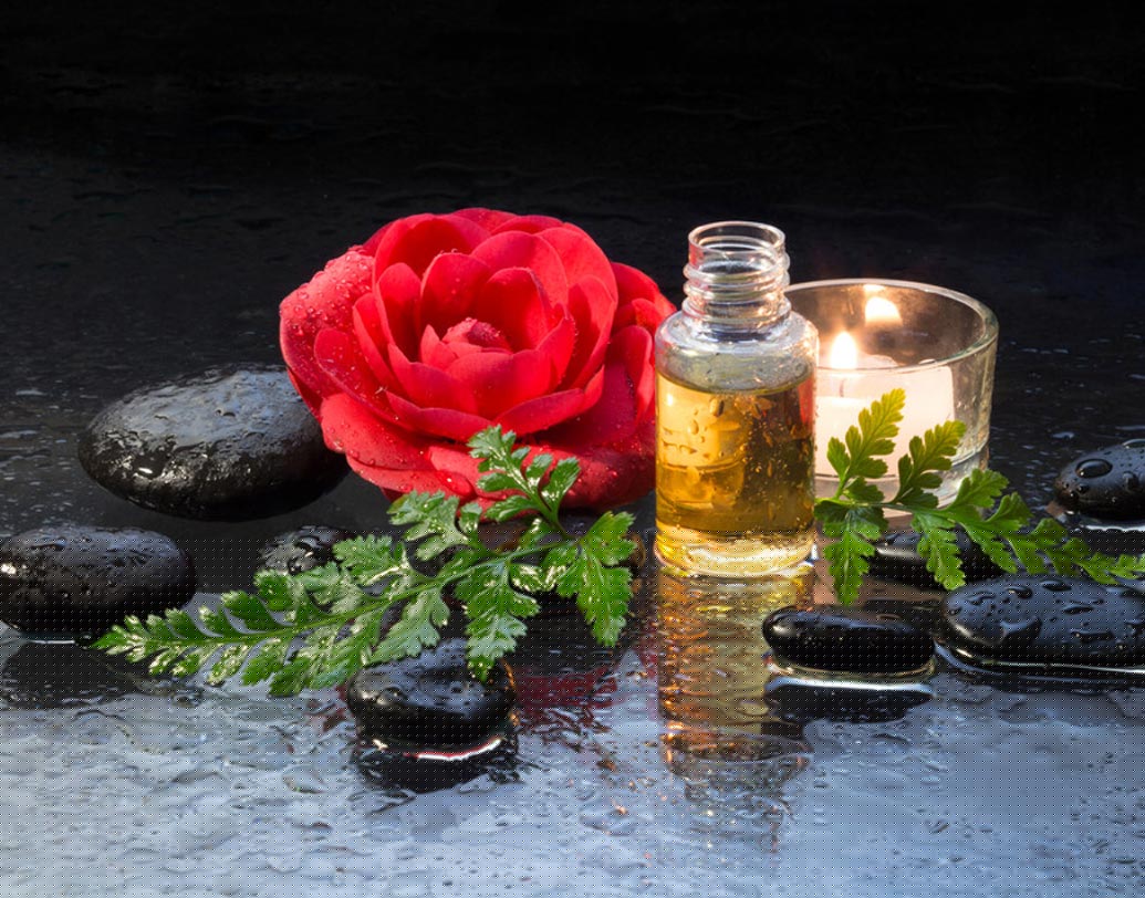 ক্যামেলিয়া তেল: জাপানিরা নিয়মিত ভেজা ত্বকে ক্যামেলিয়া তেল মাসাজ করেন। যা ত্বকের আর্দ্রতা বজায় রেখে বলিরেখা দূরে রাখতে সাহায্য করে।