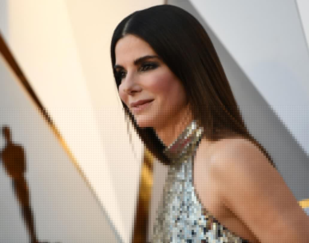 চেহারায় সামান্য হলেও বয়সের ছাপ পড়েছে সান্দ্রা বুলকের। তবে তাঁর স্টাইলিং আজও এক কথায় অনন্য। ৫৩ বছরের সান্দ্রা এ বারের অস্কার রেড কার্পেটে এসেছিলেন কালো হাই-নেক গ্লিটারি গাউনে। ডিজাইনার তাঁর পছন্দের লুই ভিত্তো।