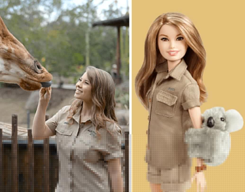 বিন্দি আরউইন, বন্যপ্রাণ সংরক্ষণহবাদী।