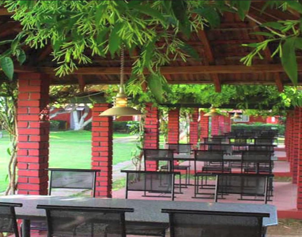 দ্য মোনার্ক: জনপ্রিয় রেস্তরাঁগুলির তালিকায় একেবারে প্রথম সারিতেই রয়েছে ‘দ্য মোনার্ক’। এর মালিক কে জানেন? মিঠুন চক্রবর্তী। মহীশূর এবং উটিতে রয়েছে এই রেস্তরাঁর শাখা। যেমন ঝাঁ চকচকে এবং বিলাসবহুল এই রেস্তরাঁর অন্দরসজ্জা, তেমনি সুস্বাদু এখানকার সমস্ত ডিস।