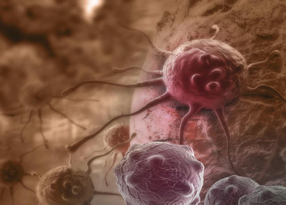 যৌন সমস্যার জন্য যাঁরা যাঁরা ভায়াগ্রা খেয়েছেন তাঁদের মধ্যে ক্যানসারের বিরুদ্ধে প্রতিরোধ ক্ষমতা যাঁরা খাননি তাঁদের তুলনায় অনেকটাই বেশি, জার্নালে প্রকাশিত বিজ্ঞানীদের দাবি।