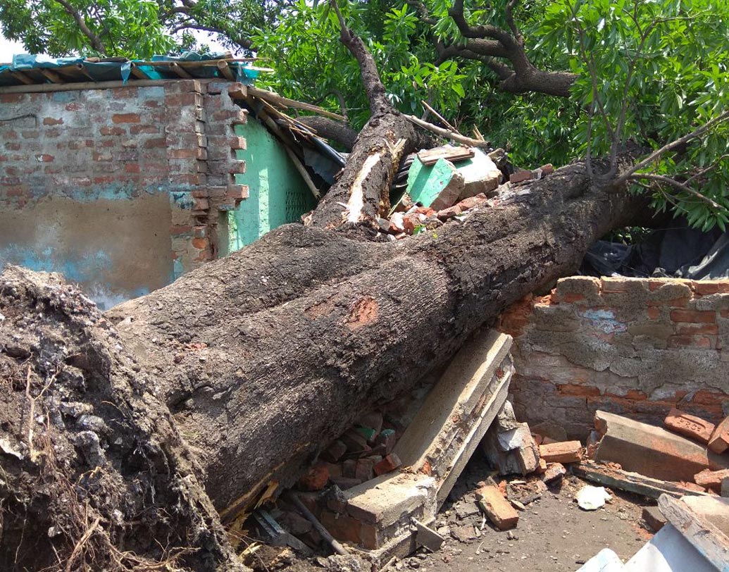 আলিপুর আবহাওয়া দফতর সূত্রে খবর, গতকালের ঝড়-বৃষ্টির পর তাপমাত্রা তুলনায় কম হলেও বেলা বাড়ার সঙ্গে সঙ্গে পারদ চড়ার সম্ভাবনা রয়েছে। দক্ষিণবঙ্গে হালকা থেকে মাঝারি বৃষ্টির পূর্বাভাস রয়েছে বলে জানিয়েছে হাওয়া অফিস।