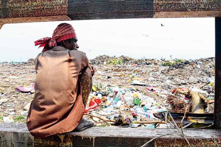 Municipality authority trying to install CCTV in dumping yards