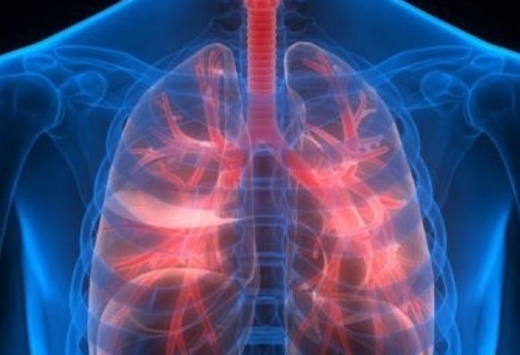 শরীরের বিভিন্ন অঙ্গে মেদ জমে যাওয়ায় শ্বাস নেওয়ার সময় পেশির উপর চাপ পড়ে বেশি। 