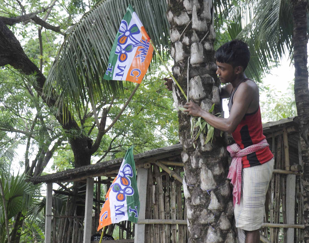 দক্ষিণ ২৪ পরগনার বাসন্তীতে তৃণমূলের পতাকা বাঁধছেন এক কর্মী।