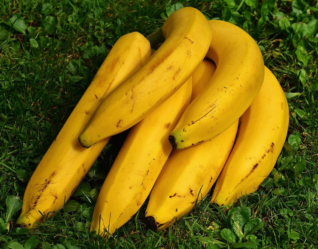 কলা: বিশেষজ্ঞেরা জানাচ্ছেন, মহিলাদের উর্বরতা শক্তি বৃদ্ধির জন্য যেমন প্রয়াস করা হয়, তেমনটা পুরুষদের জন্য করা হয় না। অথচ পরিসংখ্যান বলছে ৩০-৫০ শতাংশ বন্ধ্যাত্বের জন্য দায়ি পুরুষেরাই। নিউট্রশনিস্টদের মতে, পুরুষদের উর্বরতা শক্তি বৃদ্ধির জন্য কলা উপকারী। এতে রয়েছে ভিটামিন বি১ ও সি যা হেলদি স্পার্ম তৈরি করতে সাহায্য করে।