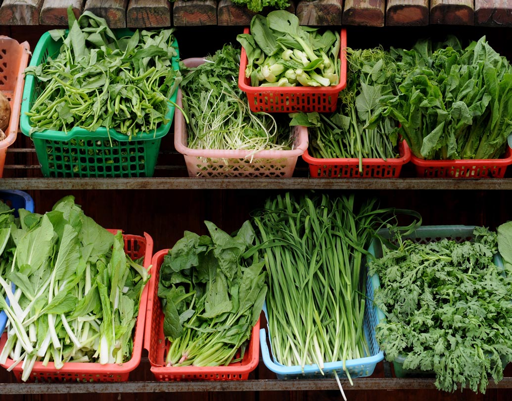 প্রতীকী ছবি।