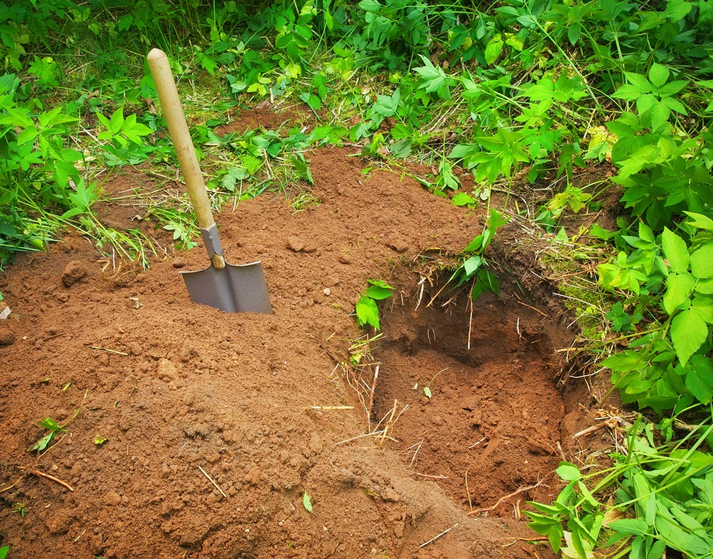 স্টেনের আইল্যান্ডে নিজেদের ছোট্ট বাগান বাড়ি রয়েছে ইমানুয়েল দম্পতির। বাগানের পিছনের অংশ খোলা, তাই প্রায়ই হরিণ এসে পাতা খেয়ে গাছপালা ভেঙে রেখে যায়। দিনকয়েক আগে বাগানে নতুন গাছ লাগাবেন বলে মাটি খোঁড়াখুঁড়ি করছিলেন তাঁরা। সেই সময় হাতে শক্ত ধাতব কিছু ঠেকে। খানিকটা মাটি সরিয়ে বুঝতে পারেন ধাতব জিনিসটা আসলে একটা বাক্স।