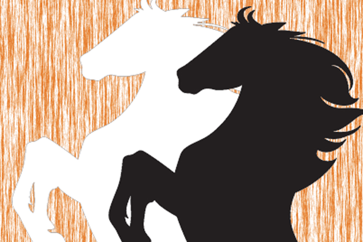 একি রূপকথার পক্ষীরাজ? না রক্তমাংসের ঘোড়া! ভিডিয়ো দেখেও বিশ্বাস হচ্ছে না অনেকের