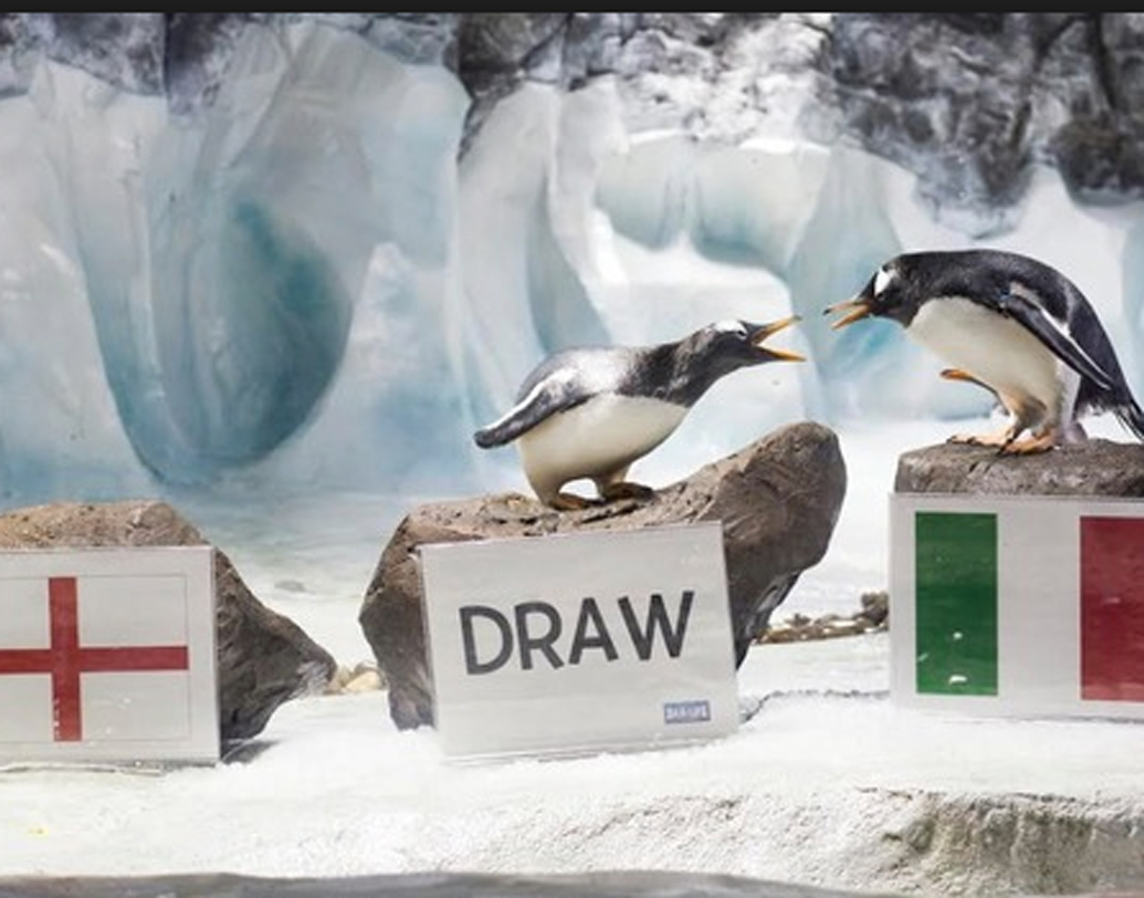 আলফ, ললি এবং গিনি: তিন পেঙ্গুইন। দলে সব থেকে প্রবীণ ছিল আলফ। সামনে রাখা থাকত তিনটি পাথর। দু’টিতে দুই দেশের পতাকা। আর মাঝে একটি পাথরের গায়ে ড্র লেখা কাগজ। আলফরা তার মধ্যে থেকে বেছে একটির উপর গিয়ে বসত। এ ভাবেই নিজেদের মতামত জানাত তারা।