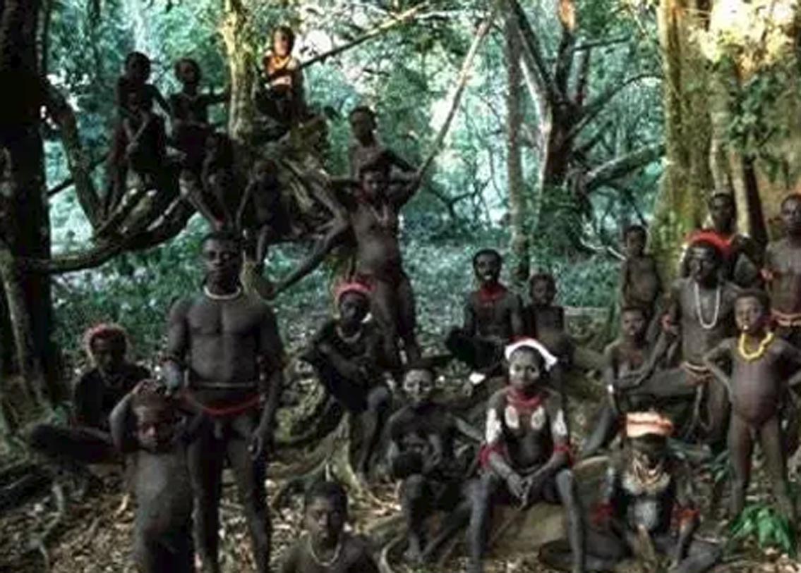 নৌকা বা হেলিকপ্টার থেকে বছরের পর বছর নজর রেখে তাঁদের সম্পর্কে খুব সামান্য ধারণা করতে পেরেছেন নৃতত্ত্ববিদরা। জানা গিয়েছে, সর্বাধিক ৪০০ জন বাসিন্দা রয়েছেন এখানে। তাঁরা আগুনের ব্যবহারও জানেন না। শেখেননি চাষাবাদও। ৬০ হাজার বছর ধরে তাঁরা এখানেই রয়েছেন।