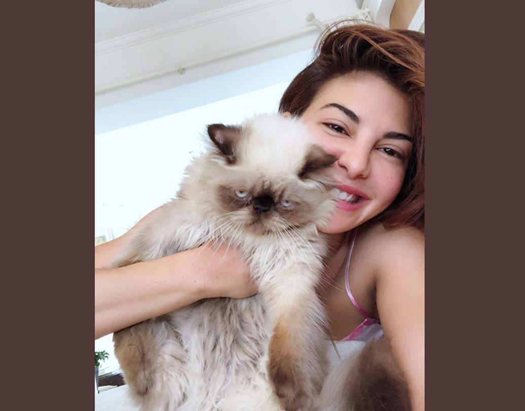 জ্যাকলিন ফার্নান্ডেজ: এই মডেল ও অভিনেত্রীর জনপ্রিয়তা শুধু বি-টাউনেই সীমাবদ্ধ নয়, সোশ্যাল মিডিয়ায় অজস্র তাঁর ফলোয়ার সংখ্যা। মেকআপ হোক বা মেকআপ ছাড়া, ইনস্টাতে নিরন্তর ছবি পোস্ট করতে থাকেন নায়িকা। তাঁর ‘নো মেকআপ’ নিজস্বীও কিন্তু বেশ সাড়া জাগিয়েছে নেট দুনিয়ায়।