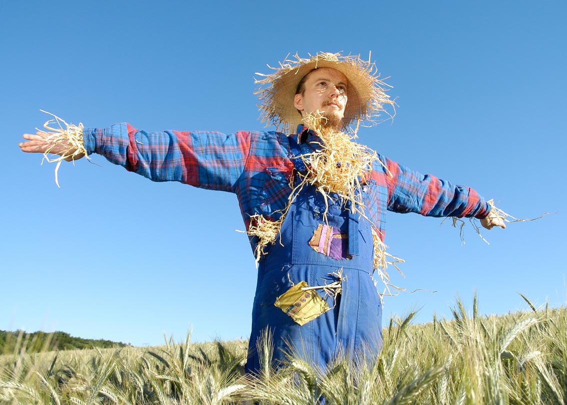 কাকতাড়ুয়া: ফাঁকা চাষের জমির মধ্যে হাঁড়িতে কালি দিয়ে মুখ-চোখ-দাঁত আঁকা আর বাঁশের শরীর নিয়ে দাঁড়িয়ে থাকা কাকতাড়ুয়ার সঙ্গে আমরা পরিচিত। পাখির উৎপাত থেকে রক্ষা পেতে কৃষকেরা এই পদ্ধতি নিয়ে থাকেন। কিন্তু জানেন কি মানুষ কাকতাড়ুয়াও হয়? ২০১২ সালে বিবিসি-র এক প্রতিবেদন অনুযায়ী, ইংল্যান্ডে ২২ বছরের মিউজিকে স্নাতক ছাত্র এ রকমই কাজ পেয়েছিলেন।