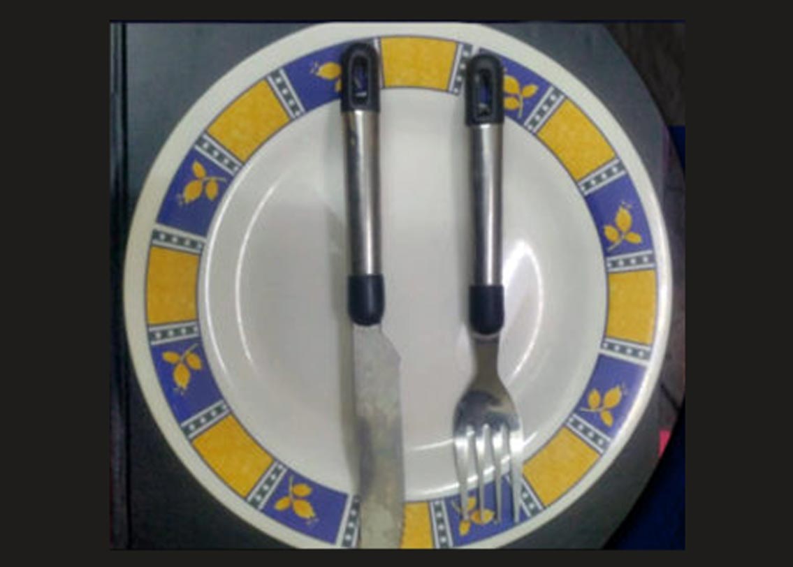 এ বার ধরুণ উল্টোটা ঘটল। খাবার একেবারেই পছন্দ হয়নি। সার্ভিসও ভাল লাগেনি। তা হলে ছুরি-চামচ উল্টো করে সমান্তরালে রেখে দিন। আপনার যে প্রচুর অভিযোগ রয়েছে তার প্রতিফলন চামচের এই ভঙ্গি।