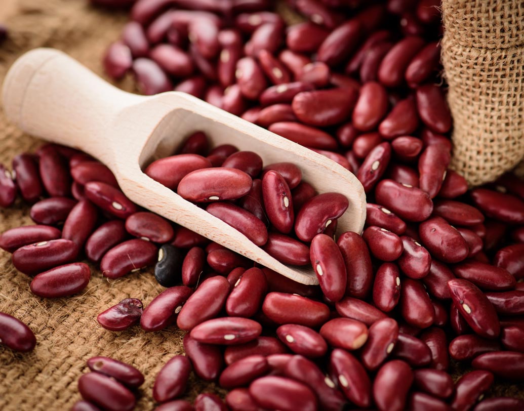 কিডনি বিনস: হৃদরোগ, ক্যানসার থেকে ডায়বিটিস—কিডনি বিনসের উপকারিতা অনেক। তা ছাড়া, কোলেস্টেরল নিয়ন্ত্রণে রাখতে চিকিৎসকেরা কিডনি বিনস খাওয়ার কথা বলেন। এক কাপ বিনসে থাকে প্রায় ৪ মিলিগ্রাম আয়রন, সুতরাং শরীরে আয়রনের ঘাটতি পূরণেও নিয়মিত ডায়েটে রাখতে পারেন কিডনি বিনস।