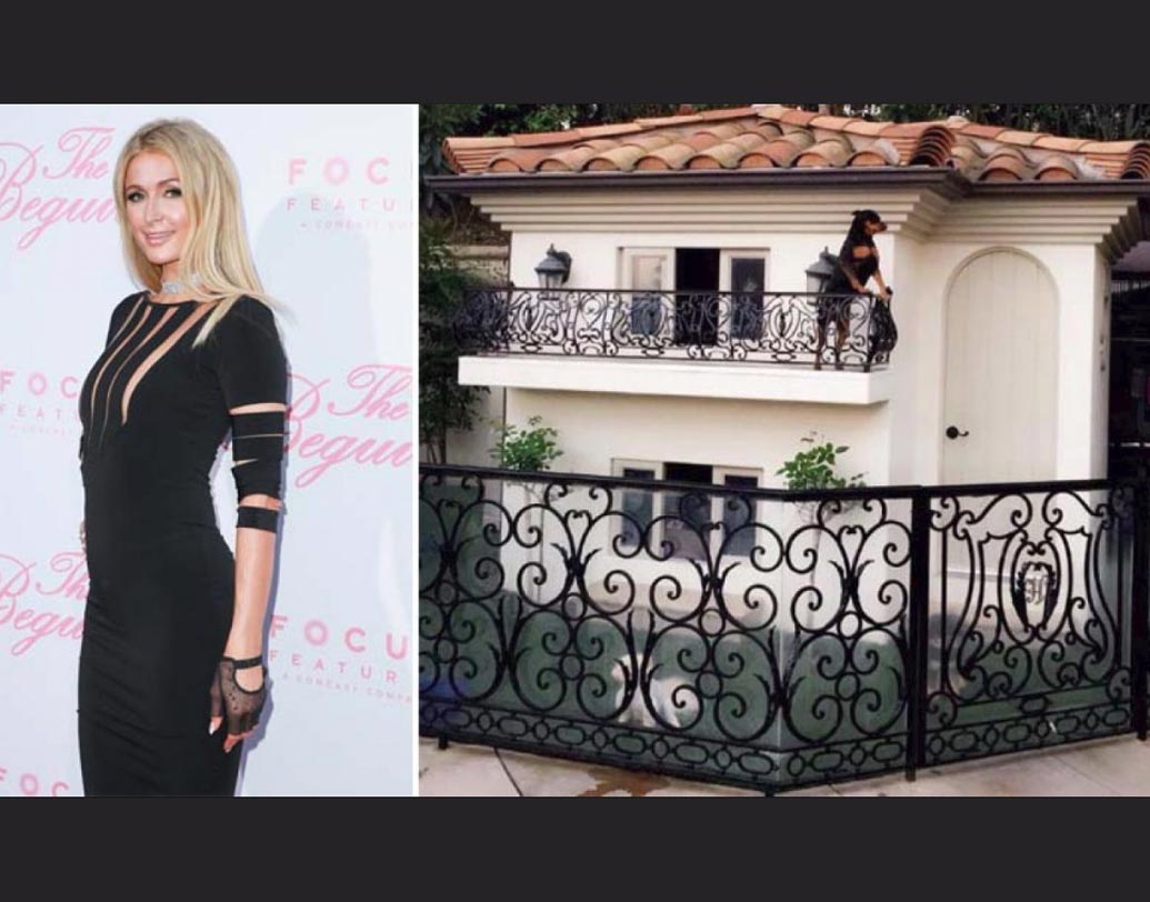 প্যারিস হিলটন: কুকুর ভালবাসেন মার্কিন টেলি তারকা, মডেল ও অভিনেত্রী প্যারিস হিলটন। প্রিয় পোষ্যদের জন্য ইন্টিরিয়র ডেকরেটার ডেকে ঝাঁ চকচকে ডগ হাউস বানিয়েছেন অভিনেত্রী। বাতানুকূল ওই ডগ হাউসে ফলস সিলিং, ডিজাইনার আসবাব, ঝাড়বাতি কী নেই। খরচ কত পড়েছে জানেন? প্রায় ২ কোটি ১৯ লক্ষ টাকা।