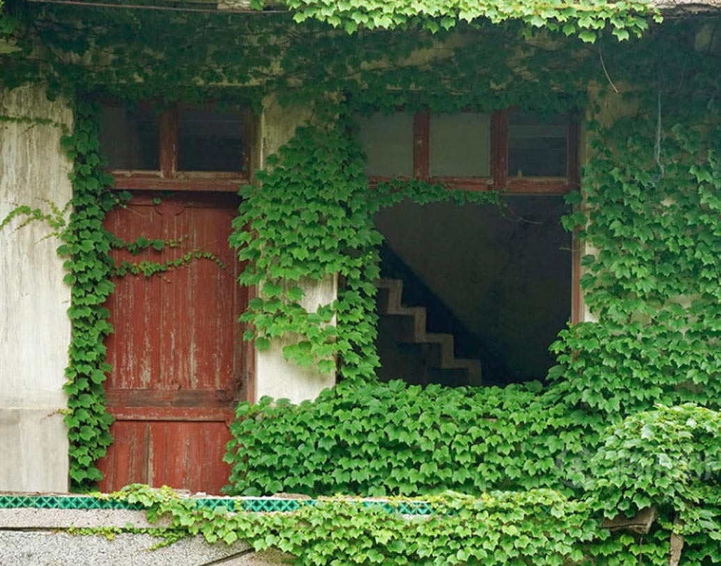 পরবর্তীকালে গবেষণার কাজে হোক বা নিছক পর্যটনের জন্য, বহু মানুষের পা পড়ে এই গ্রামে। খোঁজ শুরু হয় এক সময় গ্রামে বসবাস করা পরিবারদের। ছবি এবং সোশ্যাল মিডিয়ার সূত্র ধরে রাতারাতি বিখ্যাত হয়ে যায় হাওটাওওয়ান।