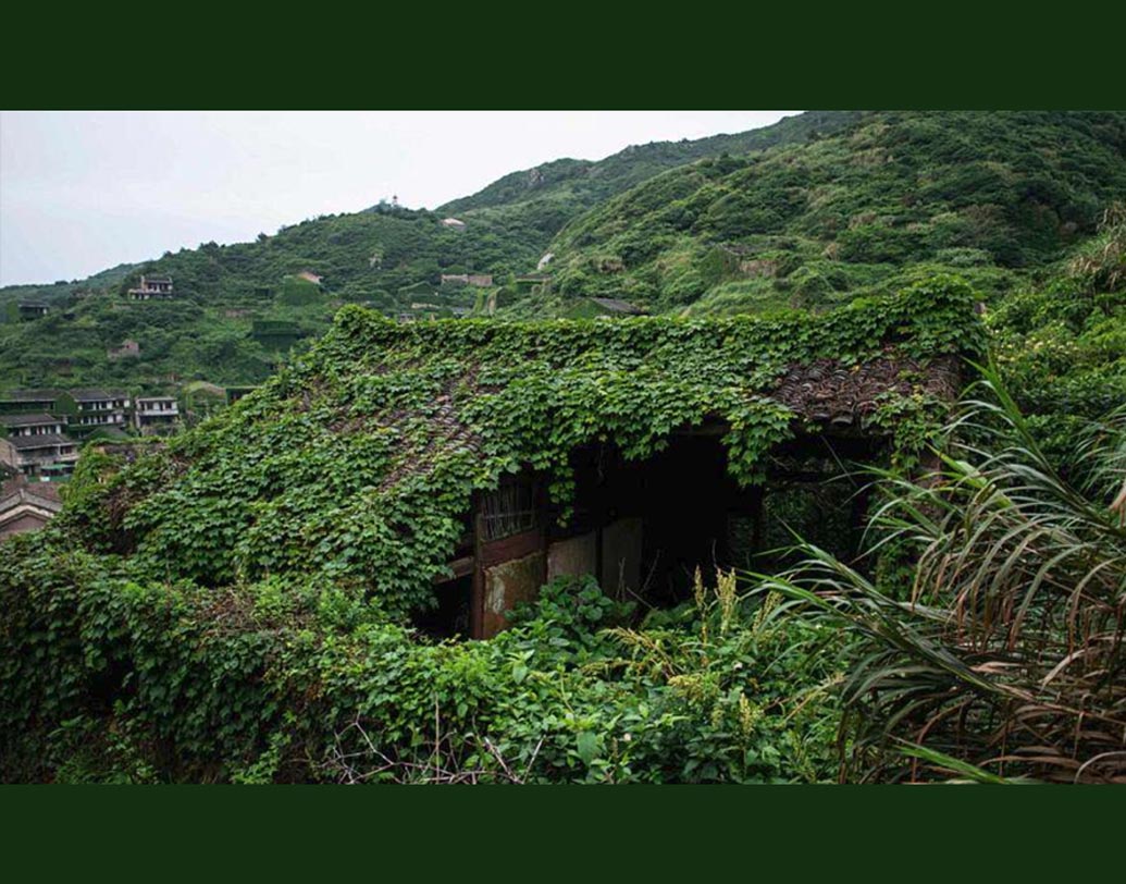 গ্রামটি নিয়ে প্রথম মুখ খোলেন ওয়াং পরিবার। বছর সাতাশের ওয়াং জানিয়েছেন, তিনি ও তাঁর পরিবার যখন গ্রাম ছাড়েন তখন তাঁর বয়স ছিল পাঁচ বছর। কাজের সন্ধানেই গ্রাম ছেড়ে চলে যায় তাঁর পরিবার। এখন তাঁদের ছোট্ট বাড়িটি নাকি আঙুরলতায় ছেয়ে গিয়েছে।