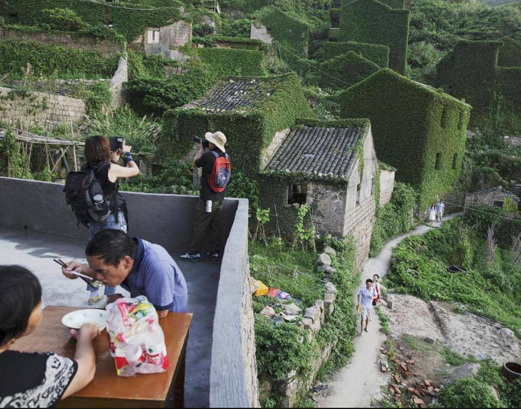 একই অভিজ্ঞতা ঝু মান্ডিরও। তিনি জানিয়েছেন, পাহাড়ের ঢালে তাঁদের তিন তলা বাড়িটা সবুজ লতাপাতায় ভরে গিয়েছে। কাঠের দরজা ভেঙে ডালপালা মেলেছে আঙুর গাছের সারি।