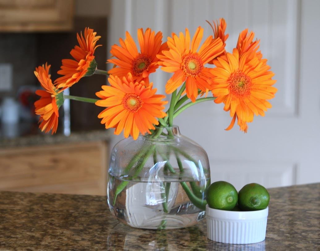 জারবেরা ডেইজি- বাগানের সৌন্দর্যায়নের জন্য জারবেরা একটি অনন্য নাম। কিন্তু এর বিপুল পরিমাণ অক্সিজেন উৎপাদন ক্ষমতা এবং বাতাস থেকে দূষিত কণা দূর করার ক্ষমতা সম্পর্কে অনেকেরই ধারণা নেই। তবে এর জন্য শীতকাল ছাড়া সারা বছরই পর্যাপ্ত সূর্যরশ্মি প্রয়োজন হয়। ভাল করে জল দিতে হয়, যাতে মাটি সব সময় ভিজে থাকে। শোওয়ার ঘর এই গাছ রাখার আদর্শ জায়গা।