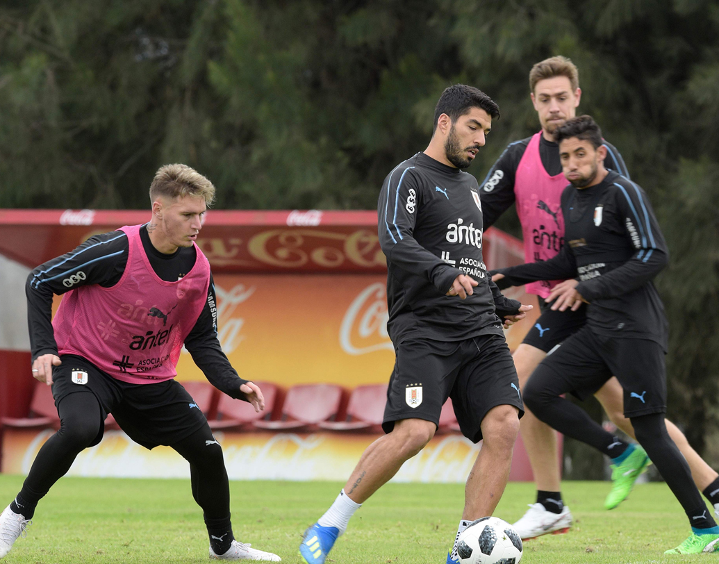 উরুগুয়ে: ২০১০ সালে দিয়েগো ফোরলান আশা জাগিয়েও পারেননি। সুয়ারেজের হঠকারি কাণ্ডকারখানা স্বপ্নভঙ্গ করেছিল দলের। সে বারের বিতর্কিত নায়ক কি এ বার শাপমুক্তি ঘটাতে পারবেন? অপেক্ষায় থাকবে দেশ। সঙ্গত দেওয়ার জন্য কাভানি, গডিনরা তো থাকছেনই। ছবি: এএফপি।