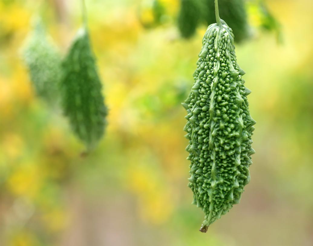 ব্লাড সুগার নিয়ন্ত্রণ, লিভার পরিষ্কার রাখা ছাড়াও রক্তে কোলেস্টেরল কমায়, চোখ ভাল রাখে এবং রোগ প্রতিরোধ ক্ষমতা বাড়াতে সাহায্য করে এই চা।