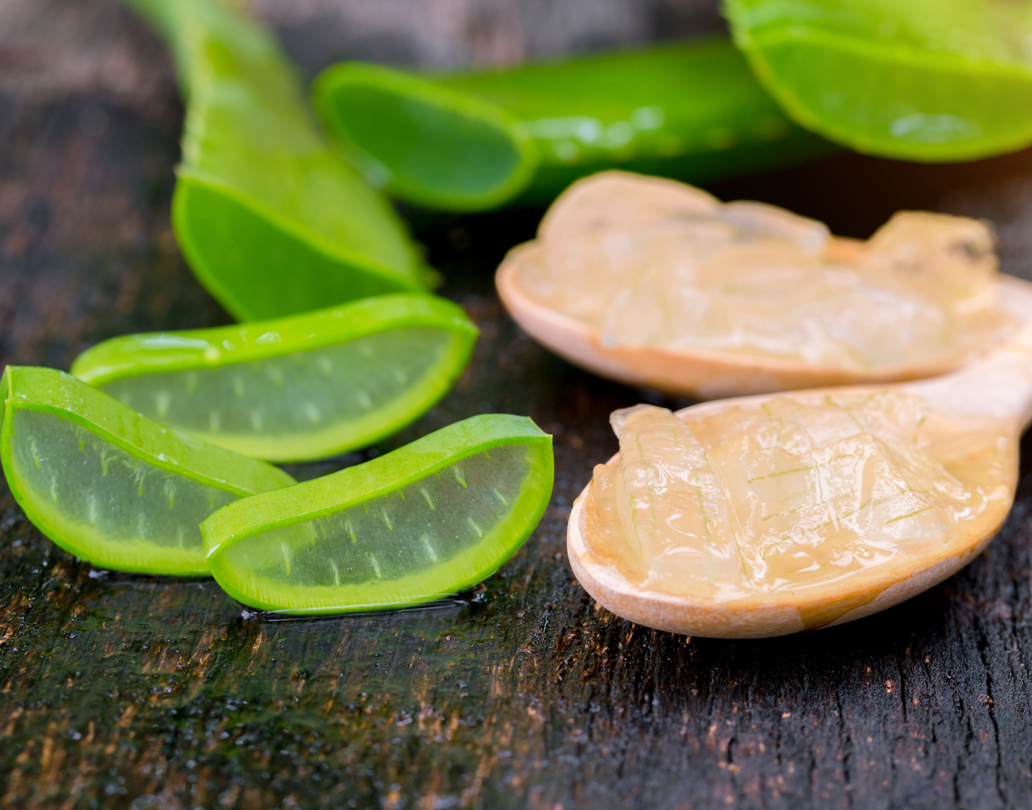 চোখের পাতায় অ্যালোভেরা জেল লাগান দিনে দু’বার। চর্মরোগ বিশেষজ্ঞ কৌশিক লাহিড়ীর মতে, ভ্রু ও চোখের পাতাকে আর্দ্রতা জোগাতে এর জুড়ি নেই। চোখের পাতার চিকিৎসায় তাই চিকিৎসকরাও অ্যালোভেরা সমৃদ্ধ ওষুধ দিয়ে থাকেন। ছবি: শাটারস্টক।