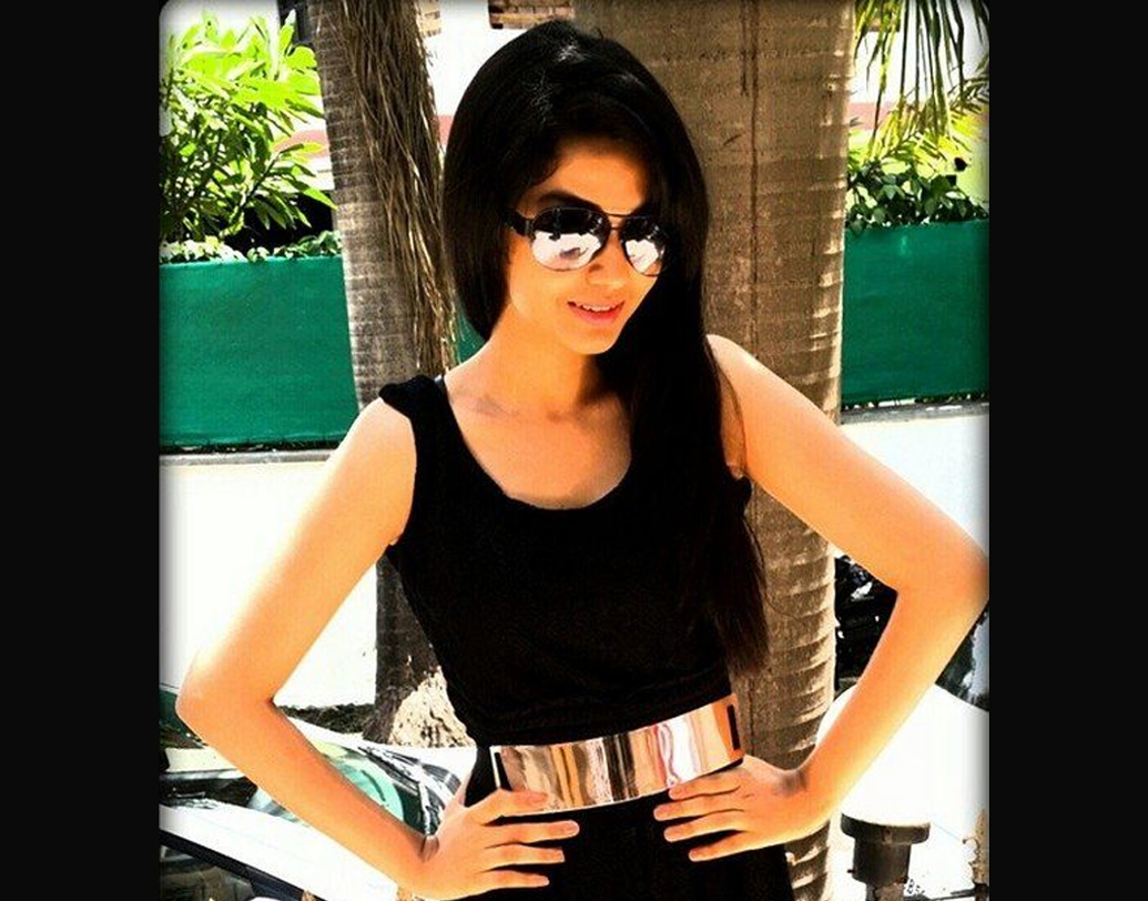 মুম্বইয়ের অপরাধ জগতের উপর নির্মিত ‘সিআইডি’ সিরিয়ালেও অভিনয় করেছেন স্বানী। অভিনয় করেছেন ‘জিন্দগি খট্টি মিঠি’ সিরিয়ালেও।