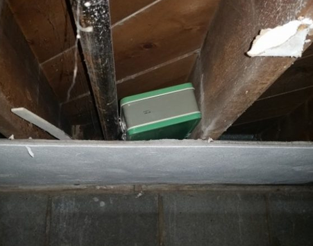 ঘটনাটি অবশ্য বছর খানেক আগের। তবে তা প্রকাশ্যে এসেছে সম্প্রতি। বেসমেন্ট থেকে শুরু হয় বাড়িটির সংস্কার। ধুলো ভরা বেসমেন্ট পরিষ্কার করতে গিয়েই চমক। দেখা গেল, বেসমেন্টের সিলিংয়ে ধুলোর আস্তরণে মোড়ানো রয়েছে একটা বাক্স।