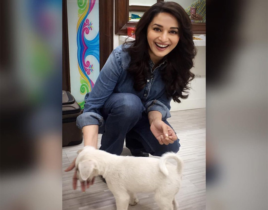 মাধুরীর বাবা বেশ আশাহত হয়েছিলেন এরপর। কিন্তু সুরেশের সঙ্গে বিয়ে হলে ‘আজা নাচ লে’-র মাধুরীকে পাওয়া যেত কি?