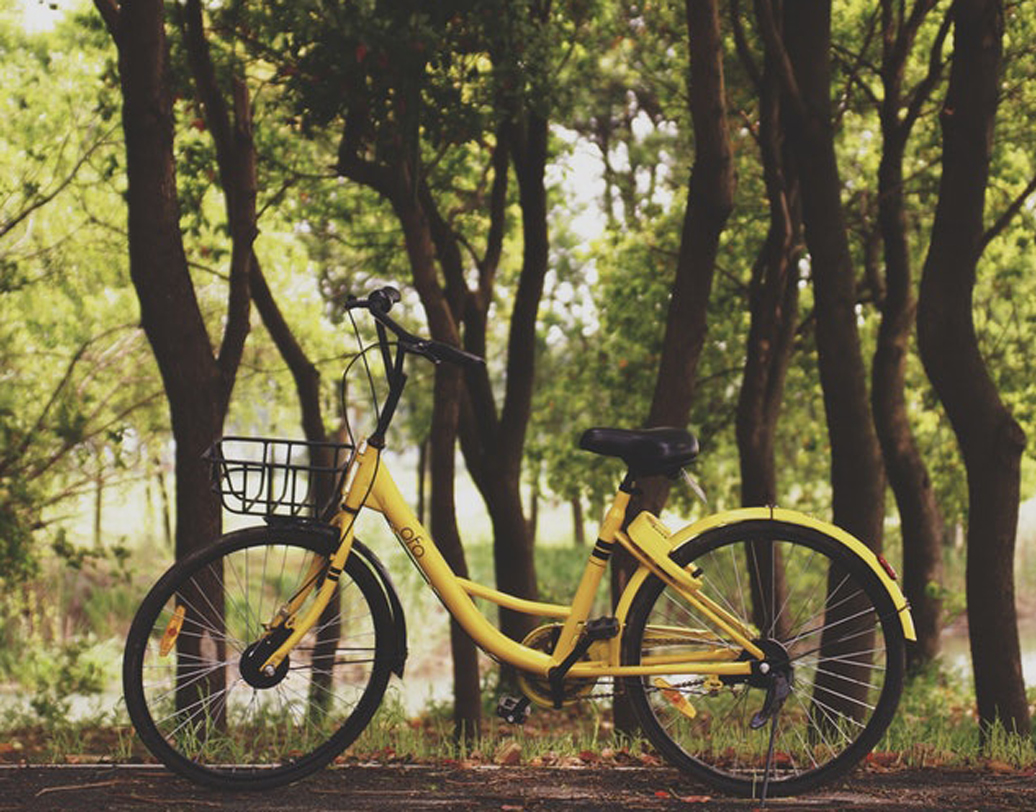 সাইকেল চালানো: এই কাজ কম-বেশি অনেকেই করেন। আপনি শুরু করুন রুটিন মেনে। দিনের মধ্যে কিছু ক্ষণ সাইকেলের প্যাডেলে চাপ দিন। জোরে সাইক্লিং করে ঘুরে আসুন খানিকটা। ১৫ মিনিট সাইকেল চালালে প্রায় ১৫০-২০০ ক্যালোরি ঝরাতে পারেন। কোমরের আকার ধরে রাখতে ও এই অঞ্চলের চর্বি ঝরাতে এর জুড়ি নেই। ছবি: আনস্প্ল্যাশ।