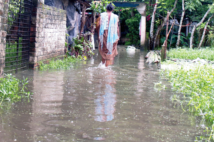 ডুবু-ডুবু: পাড়ার পথ