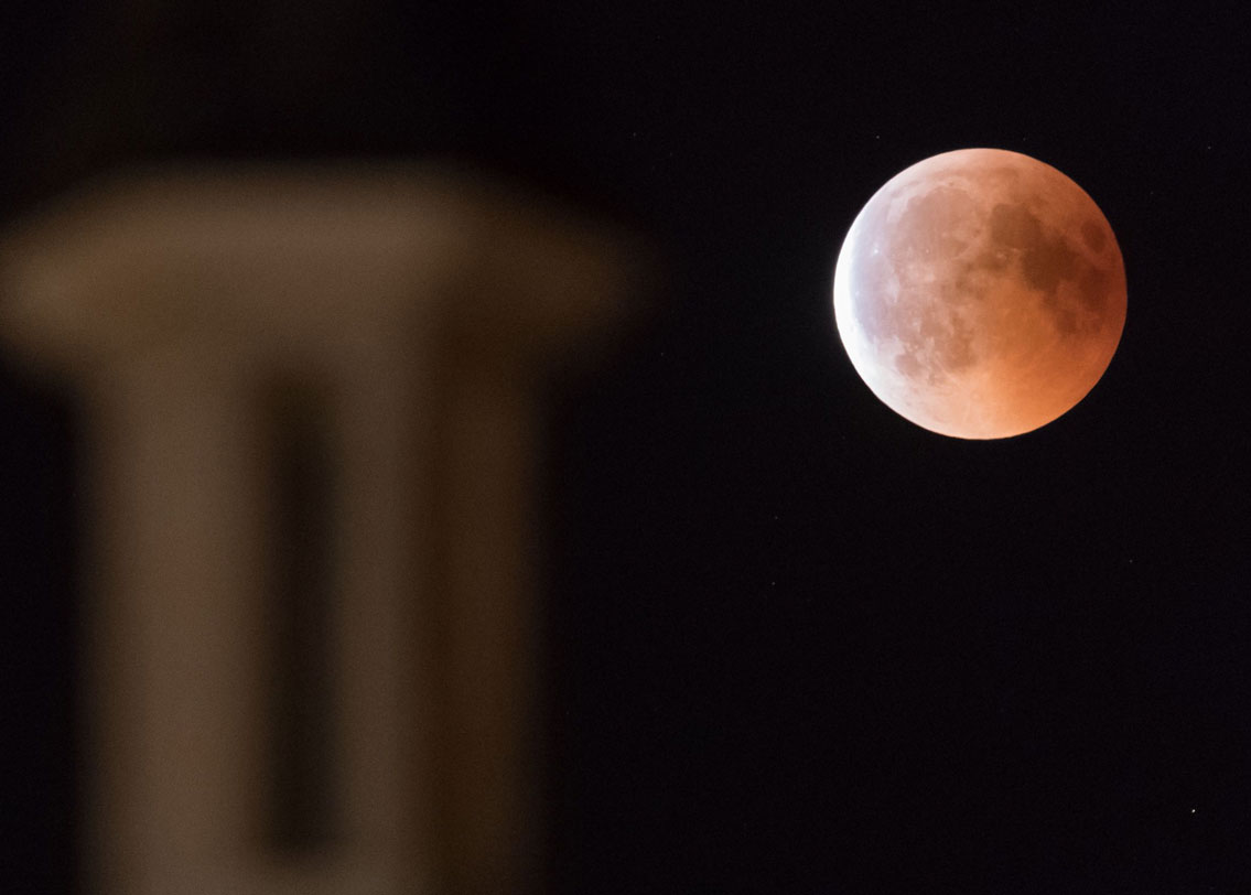 শুক্রবার যে চাঁদ বিশ্বজুড়ে দেখা দিল, তা ছিল মাইক্রো মুন। অর্থাৎ সাধারণত যে চেহারার চাঁদ দেখি আমরা তার চেয়ে আকারে বেশ কিছুটা ছোট। ফ্রান্সের একটি চার্চের সামনে ছবিটি তুলেছে এএফপি।